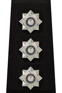 Assistant Superintendent