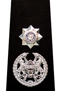 Senior Assistant Commissioner of Police