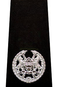 Assistant Commissioner of Police