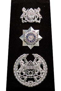 Commissioner of Police