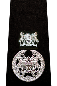 Deputy Commissioner of Police